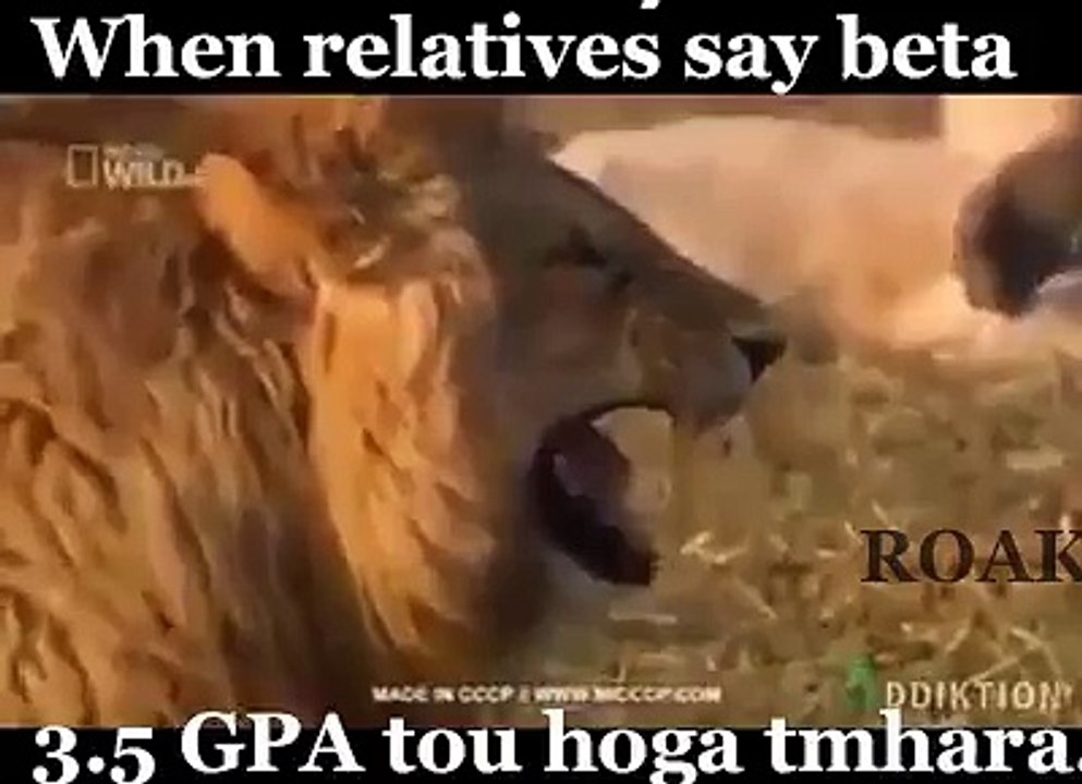 When Your Relatives Says Beta Tumhara GPA 3.5 to hoga.