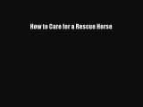 How to Care for a Rescue Horse  Free Books