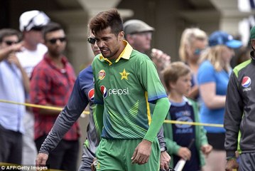 Fan offering dollars to Amir during 1st ODI 2016