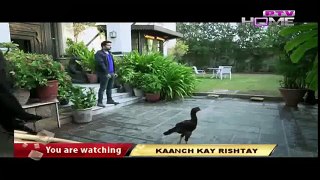 Kaanch Kay Rishtay Episode 74  - PTV home - 25 January 2016