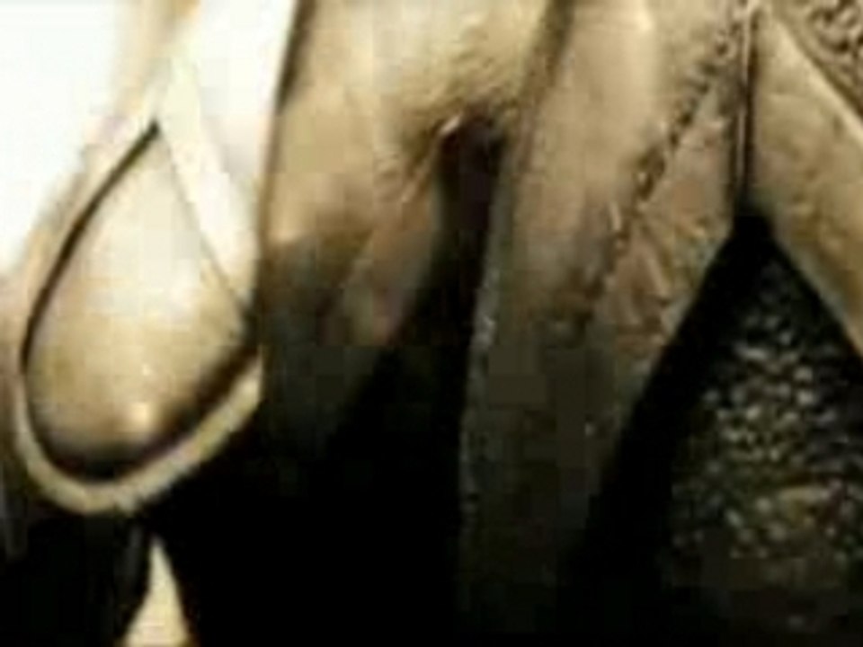O Fortuna 300