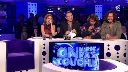 Vif échange entre Yann Moix et Bénabar - On nest pas couché 23 janvier 2016 #ONPC