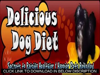 Delicious Dog Diet Reviews - The Expert Guide