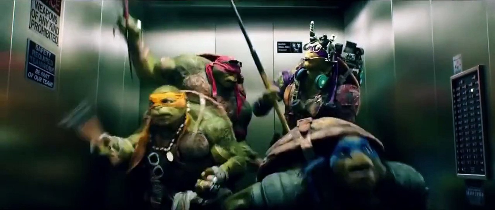 turtles