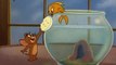Tom and Jerry - Jerry and the Goldfish 1951 [HD 1080p]