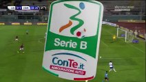 0-1 Stefano Pettinari  Goal Italy  Serie B - 25.01.2016, Livorno Calcio 0-1 Calcio Como