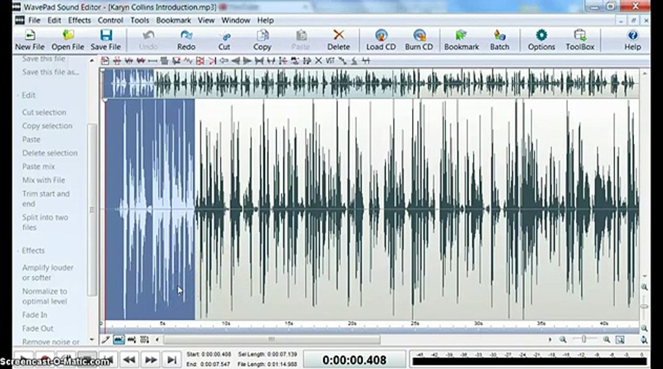 My Screencast on Wavepad