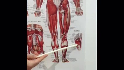 Release the bottom of the foot - for plantar fasciitis and achillies tendon pain