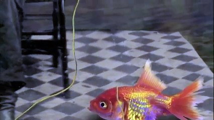 What Are Dreams? (HD Documentary)