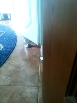 Funny cats. Милый котик. Играем.