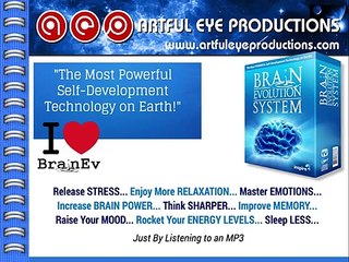 The Brain Evolution System