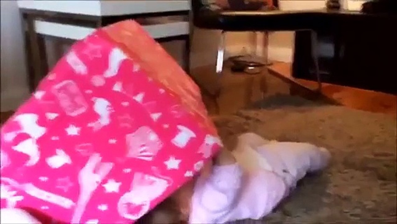 Funniest Babies Ever
