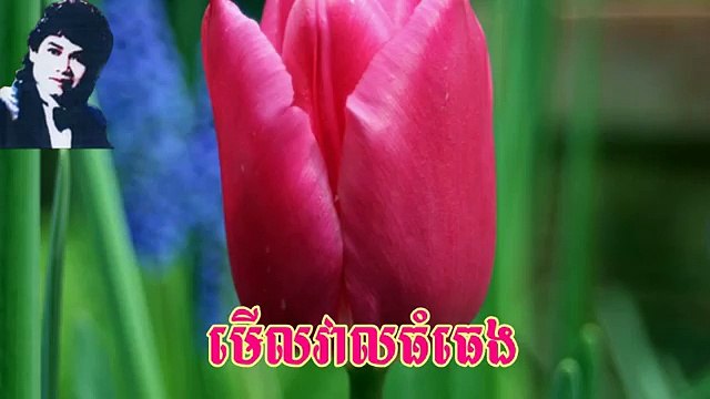 Keo Sarath Song MP3 MP4 | Khmer old songs | Music Audio Video | 13 Merl Veal Thom Theng