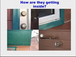 South Jersey Stink Bug Control