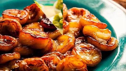 The Paleo Recipe Book Video Reviews Insight