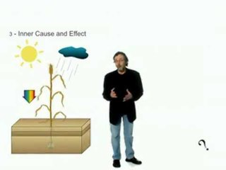 Astrologia il libero arbitrio?