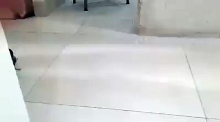 Lo ultimo en aspiradores