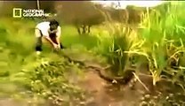 Documental Serpientes Gigantes \