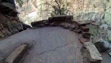 Hiking up the Breathtaking Nature in the Sawtooth Forest