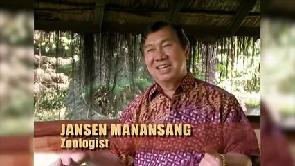 Crazy Man Jumps into Lion Den - Lion and lioness attacked him with anger but still this guy not get hurt
