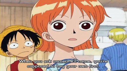 One Piece Funny Moment Meeting Apis