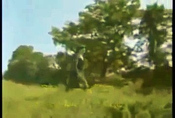 Heroes de la Fe   PELICULA CRISTIANA