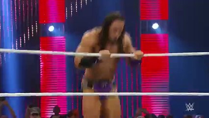 20 spectacular springboard moves- WWE Fury