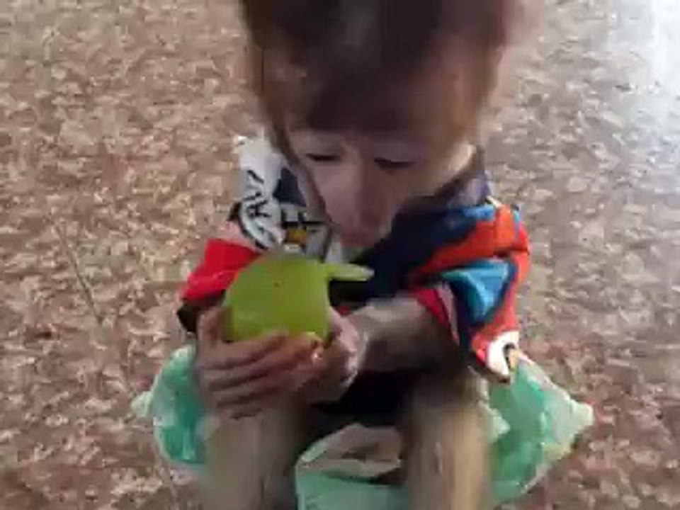 My adorable little cute monkey enjoying her fruits