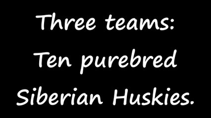Two Dog Scooter @ Mud Bay Park, Surrey, BC