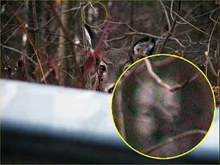 Ghost Pictures THESE ARE REAL, BELIEVE OR NOT!