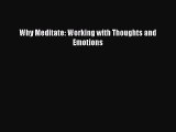 (PDF Download) Why Meditate: Working with Thoughts and Emotions PDF