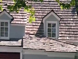 Boy Meets World S01 E18 -It's a Wonderful Night