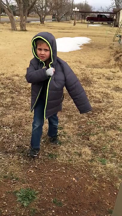 Little Boy Reunited with His Dog