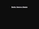 [PDF Download] Ducks Geese & Swans [Download] Full Ebook