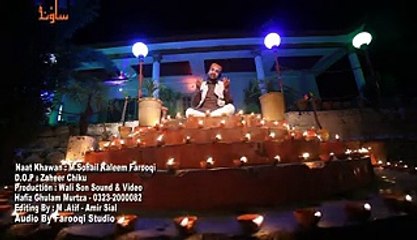 Naat Meri Zindagi Naat Meri Bandagi by Professor Sohail Kaleem Farooqi