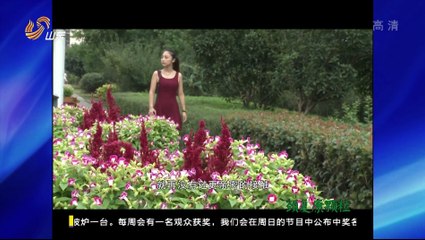 20160126 道德与法治 一不小心遇到你