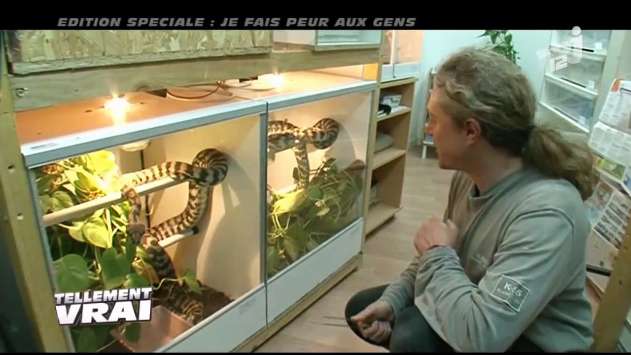 TELLEMENT VRAI - Je fais peur aux gens...