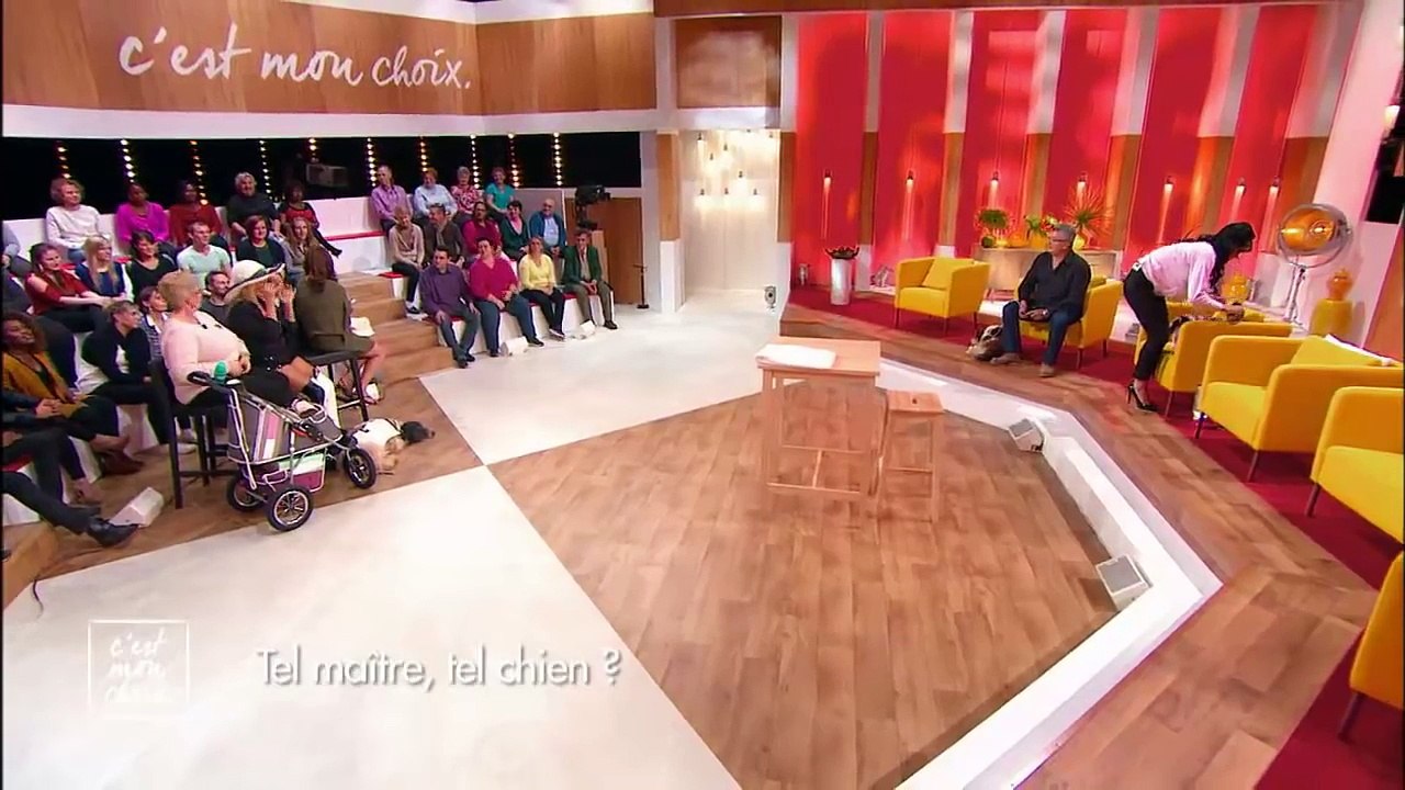 C’est mon choix : Tel maître, tel chien ?