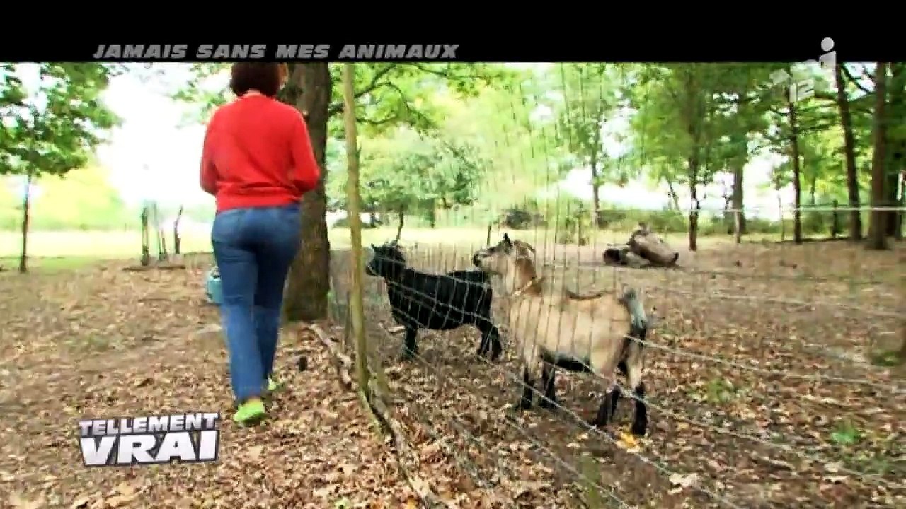 TELLEMENT VRAI - Jamais sans mes animaux !