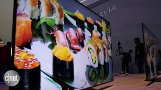 CNET News - Screen time at CES: Newest TVs and entertainment devices