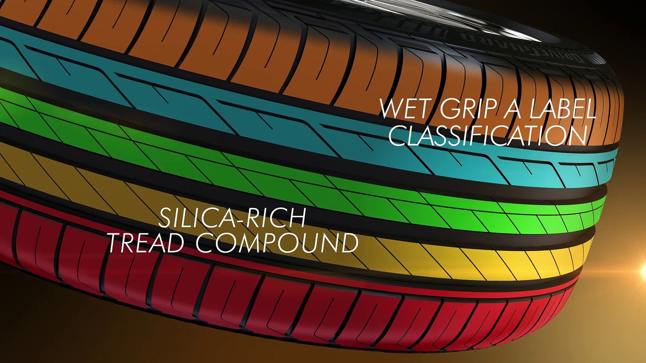 Bridgestone DriveGuard