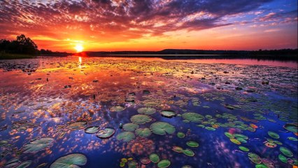 加藤行俊が送る幻想の世界１４