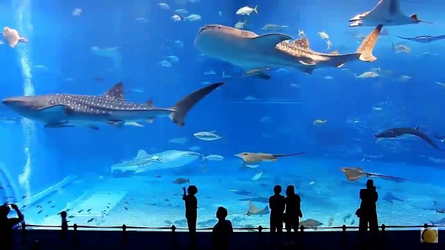 Самая Новая Клубная Музыка ХИТЫ 2016 - YouTube (720p)