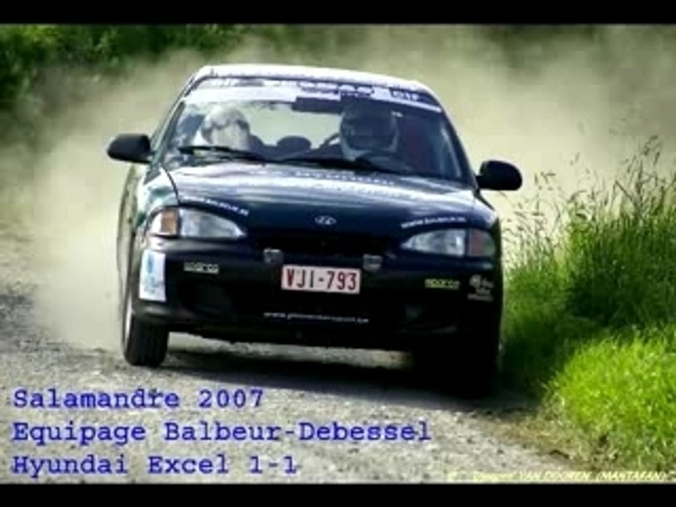 Salamandre Vergnie