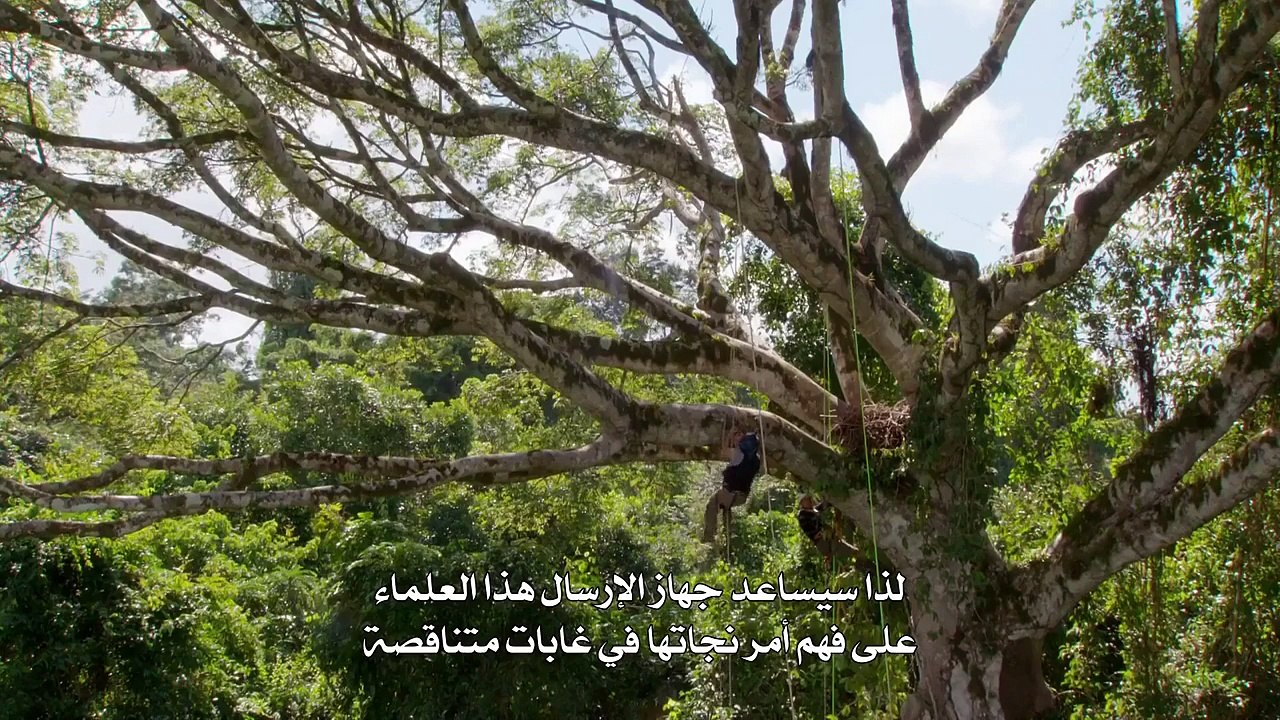 الصيد الحلقة السابعة_ _العيش مع المفترسين - فيديو