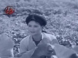 Det tam gai - Tran Thu Ha