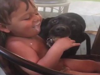 Black Lab Steals Baby Entire Ice Cream Cone in One Bite