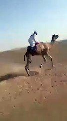 es arabi ny dhoom macha di hy