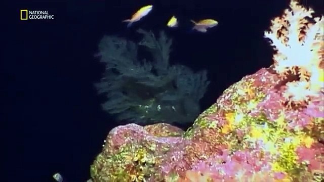 Bilimin Ta Kendisi : Sular Altındaki Şehir (Belgesel)