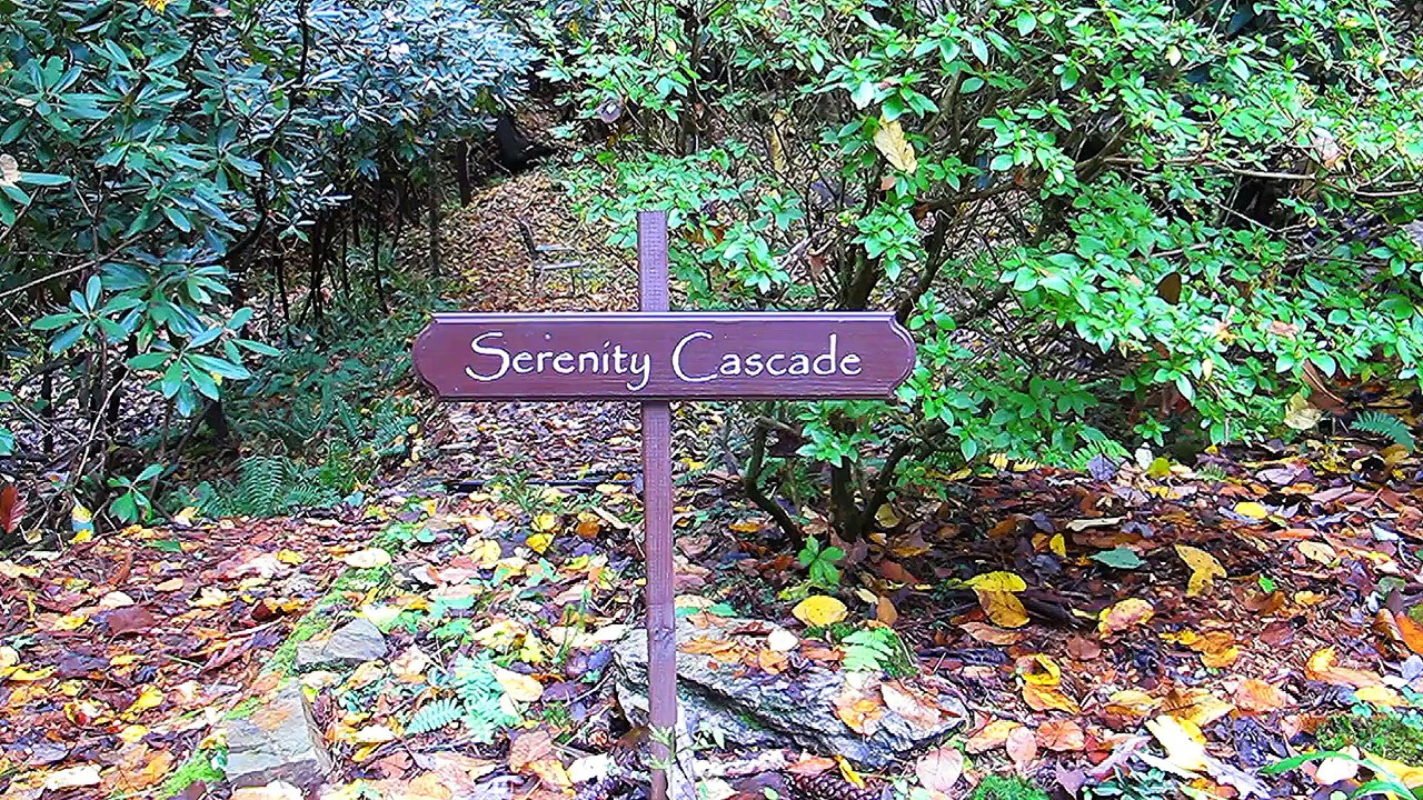 Serenity Cascade - the creek behind our home.